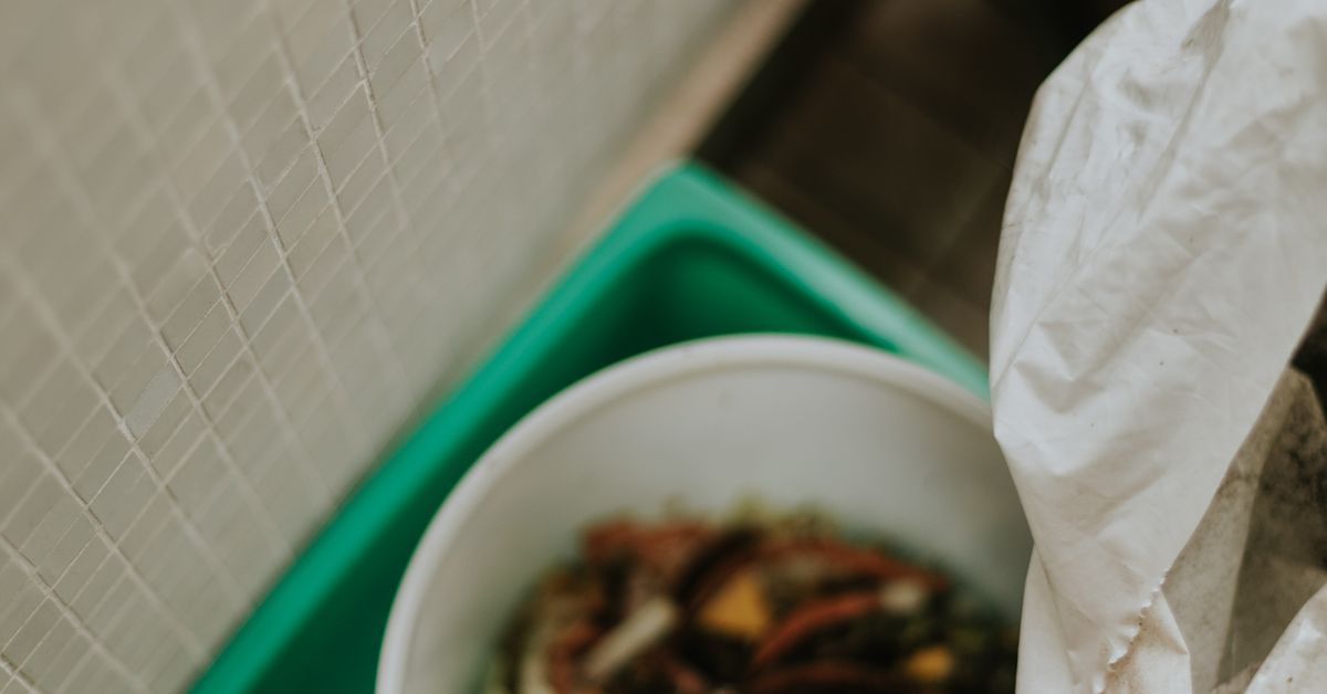 Compost Machine vs. Compost Bin: Which Is Right for Your Home?