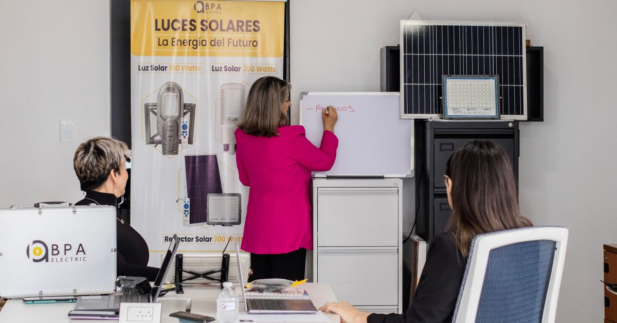 Sustainable Business Practices: What They Are and How to Adopt Them