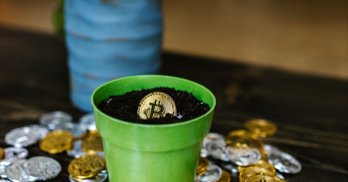 The Future of Sustainable Investing: Why Green Portfolios Win in 2026
